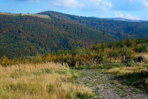 Beskid lski widziany spod Starego Gronia.