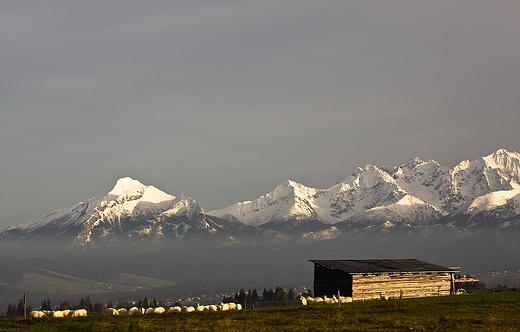 Tatry