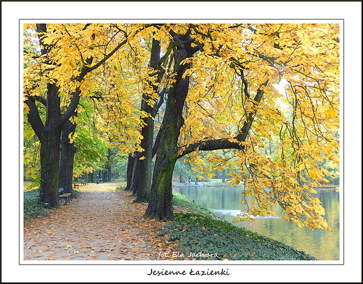 Warszawa. Jesienne azienki