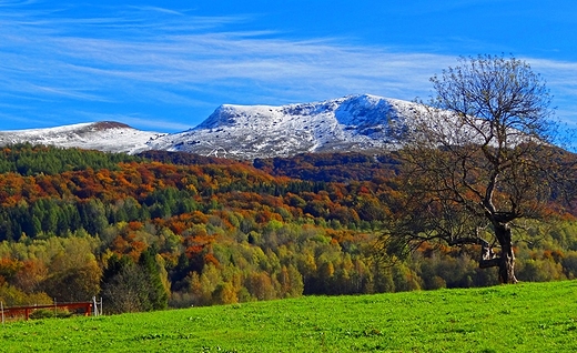 Tarnica, pierwszy nieg.