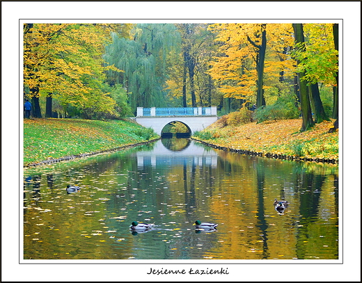 Warszawa. Jesienne azienki