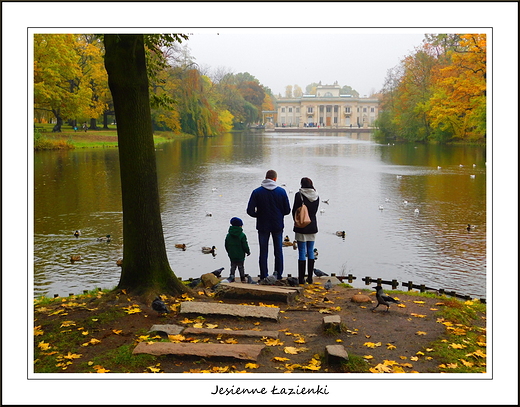 Warszawa. Jesienne azienki