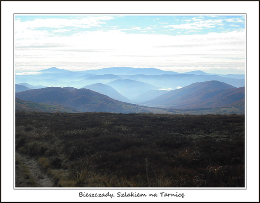 Bieszczady. Szlakiem na Tarnic