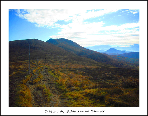 Bieszczady. Szlakiem na Tarnic