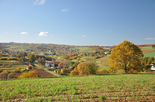 Widok na centralną i górna część wsi