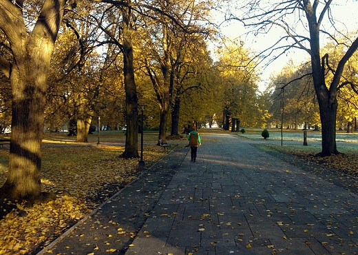 jesienny poranek w zamojskim parku