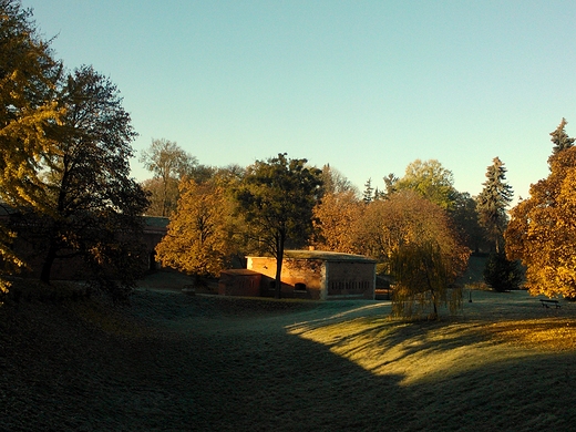jesienny poranek w zamojskim parku