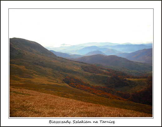 Bieszczady. Szlakiem na Tarnic