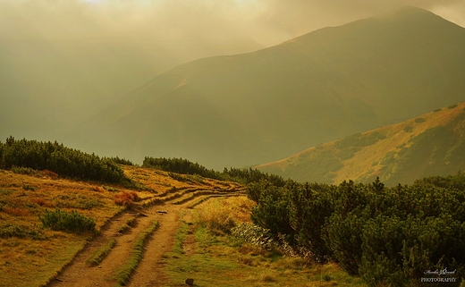 Tatry Zachodnie.