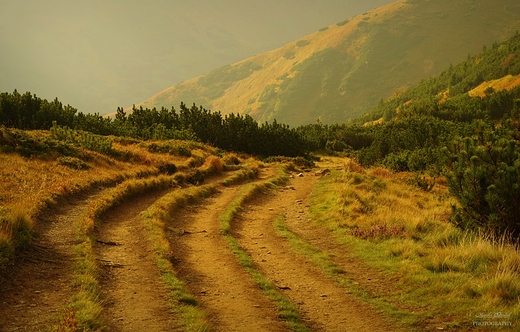 Tatry Zachodnie.