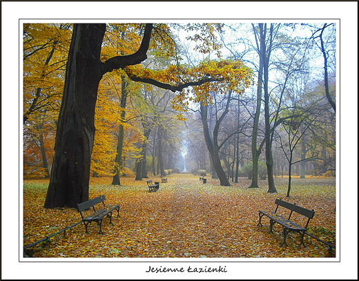 Warszawa. Jesienne azienki