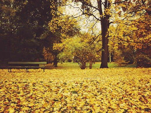 Park azienkowski jesieni