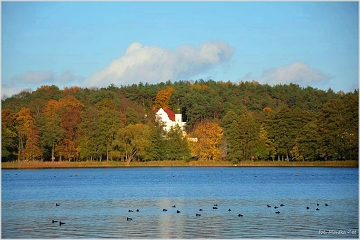 Jesie nad Jeziorem Barlineckim