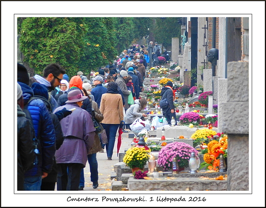 Warszawa. Cmentarz Powzkowski. 1 listopada 2016