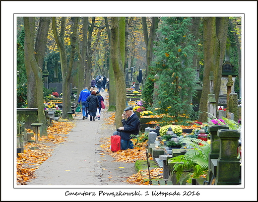 Warszawa. Cmentarz Powzkowski. 1 listopada 2016