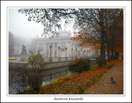 Warszawa. Jesienne azienki