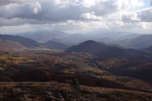 Widok z Tarnicy