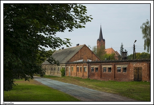 Pogorzelica - neogotycki koci pw. w. Wojciecha Biskupa i Mczennika z 1886 r.