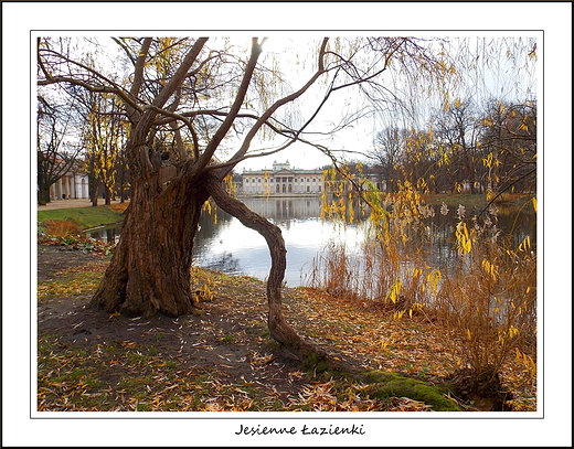 Warszawa. Jesienne azienki