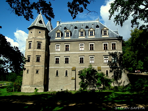 Zamek w Gouchowie wybudowany dla Rafaa Leszczyskiego w latach 1550-1560