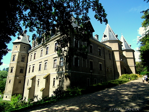 Zamek w Gouchowie - obecnie oddzia Muzeum Narodowego w Poznaniu.