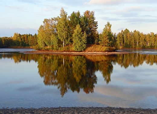 Staw w Parku Lasy Janowskie