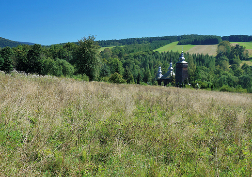 Beskid Niski w okolicy Kunkowej.