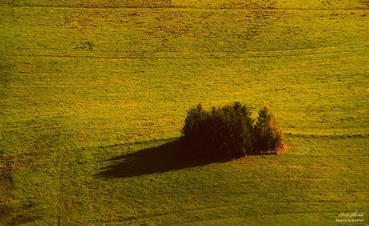 Pieniskie szlaki.