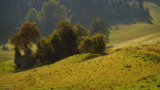 Pieniskie szlaki.