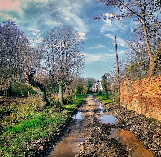 Babice