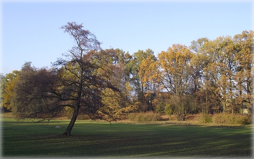 Park Grabiszyski jesiennie