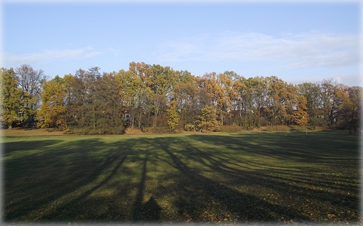 Park Grabiszyski jesiennie
