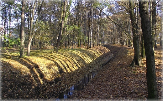 Park Grabiszyski jesiennie