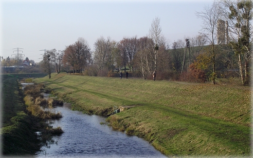 Park Grabiszyski jesiennie