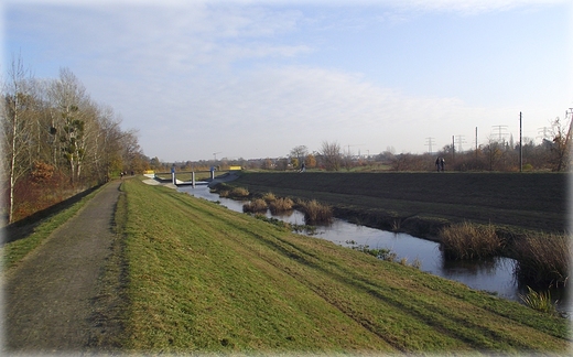 Park Grabiszyski jesiennie