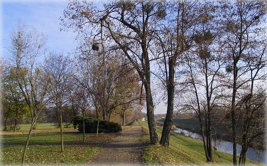 Park Grabiszyski jesiennie