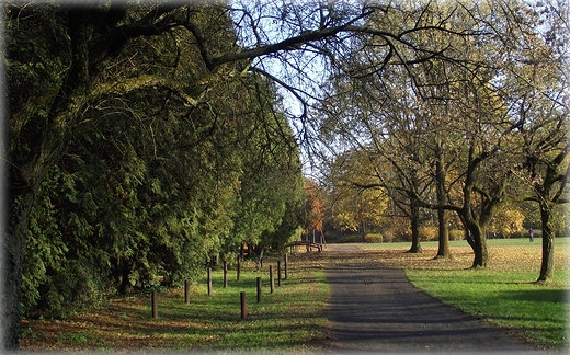 Park Grabiszyski jesiennie