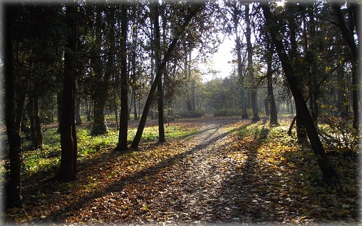 Park Grabiszyski jesiennie