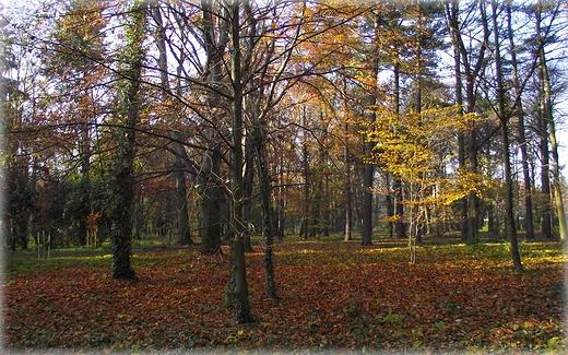 Park Grabiszyski jesiennie