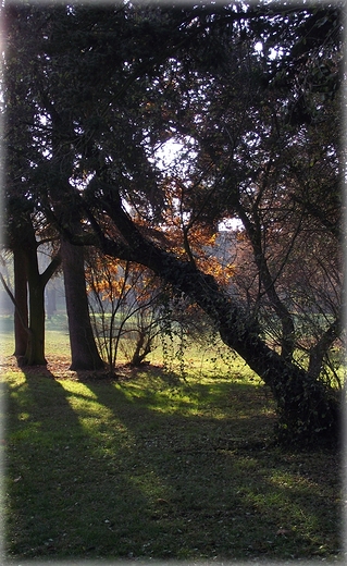 Park Grabiszyski jesiennie