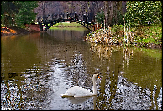 Park Zamkowy w  Pszczynie - mostki