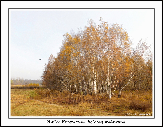 Okolice Pruszkowa. Jesieni malowane