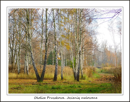 Okolice Pruszkowa. Jesieni malowane