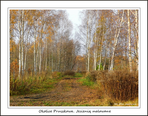 Okolice Pruszkowa. Jesieni malowane