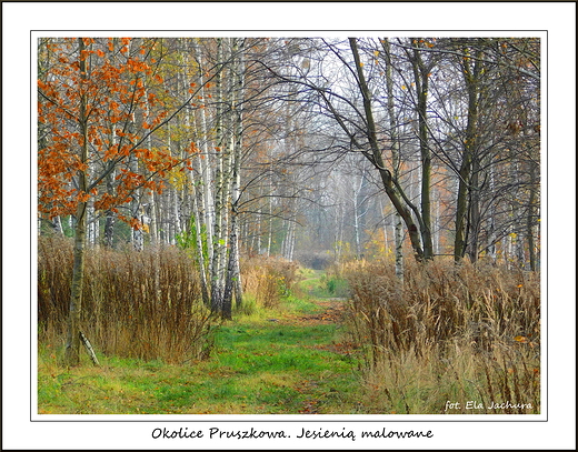 Okolice Pruszkowa. Jesieni malowane