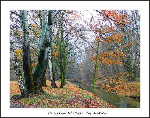 Pruszkw. W Parku Potulickich