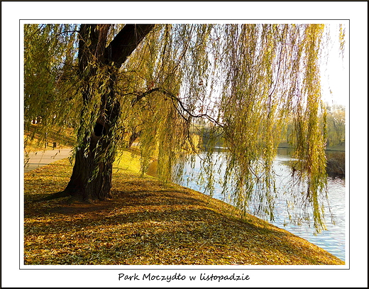 Warszawa. Park Moczydo w listopadzie