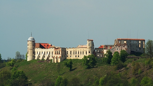 Ruiny zamku w Janowcu