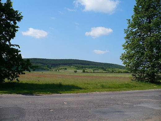 Widok na pola