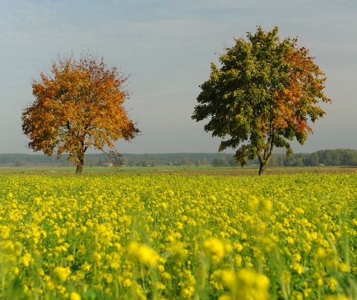 Park Krajobrazowy Wzniesie dzkich - niby blisko, a jak daleko...